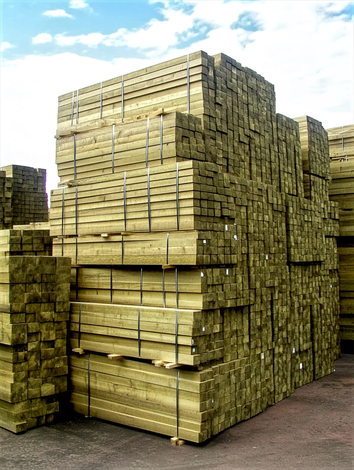 Post header: Tanalised Timber: The Secret to Lasting Outdoor Projects?